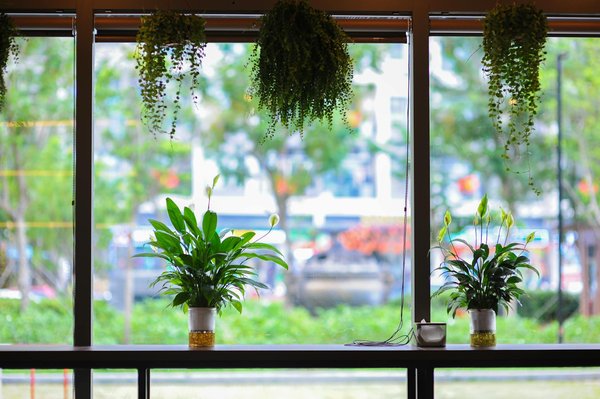 Découvrez comment améliorer vos investissements avec moncomparateurplacement.com